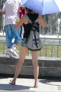 珠江台在线直播